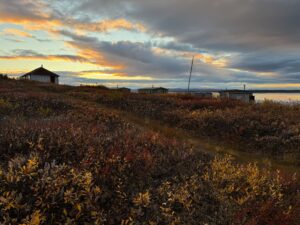 Arctic Moose Hunts with Adventure Northwest
