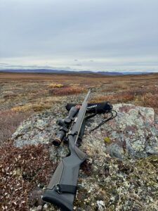 Arctic Moose Hunts with Adventure Northwest
