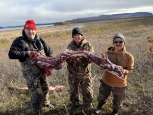 Arctic Moose Hunts with Adventure Northwest