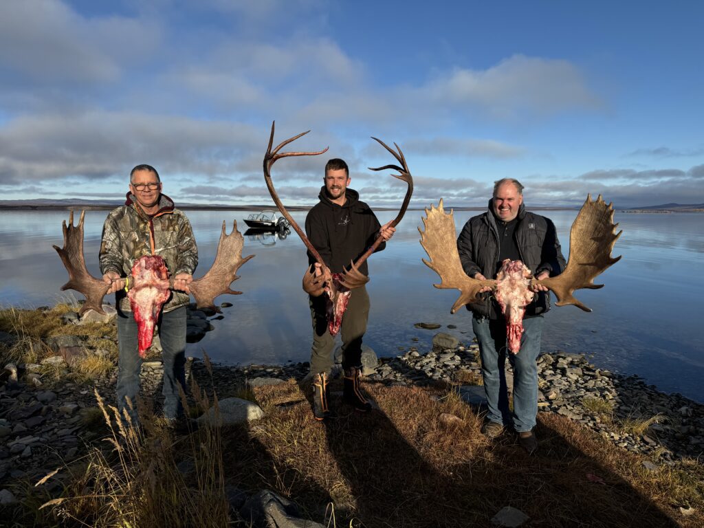 Arctic Moose Hunts with Adventure Northwest