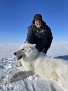 Arctic Wolf Hunts with Adventure Northwest