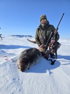 Barren Ground Grizzly Bear Hunts with Adventure Northwest