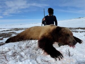 Barren Ground Grizzly Bear Hunts with Adventure Northwest