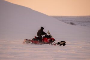 Barren Ground Grizzly Bear Hunts with Adventure Northwest