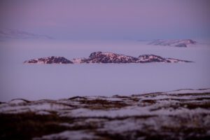 Barren Ground Grizzly Bear Hunts with Adventure Northwest