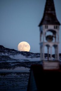 Barren Ground Grizzly Bear Hunts with Adventure Northwest