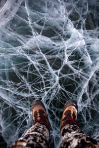 Barren Ground Grizzly Bear Hunts with Adventure Northwest