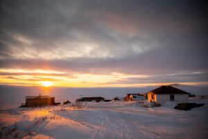 Barren Ground Grizzly Bear Hunts with Adventure Northwest