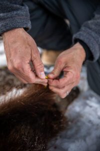 Barren Ground Grizzly Bear Hunts with Adventure Northwest
