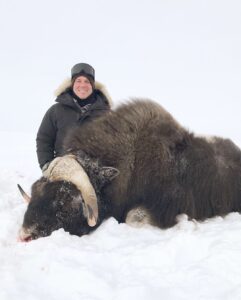 Spring Muskox Hunts with Adventure Northwest