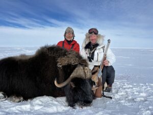 Spring Muskox Hunts with Adventure Northwest