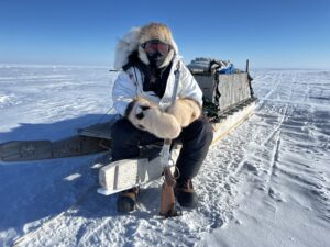 Spring Muskox Hunts with Adventure Northwest