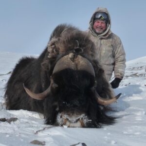 Spring Muskox Hunts with Adventure Northwest