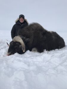Spring Muskox Hunts with Adventure Northwest