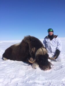 Spring Muskox Hunts with Adventure Northwest
