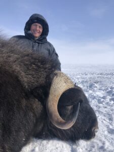 Spring Muskox Hunts with Adventure Northwest