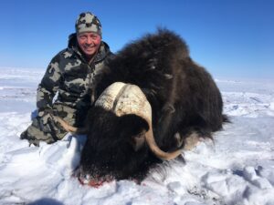 Spring Muskox Hunts with Adventure Northwest