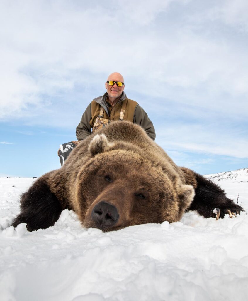 grizzly bear 1 grizzly bear 1