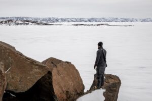 Barren Ground Grizzly Bear Hunts with Adventure Northwest