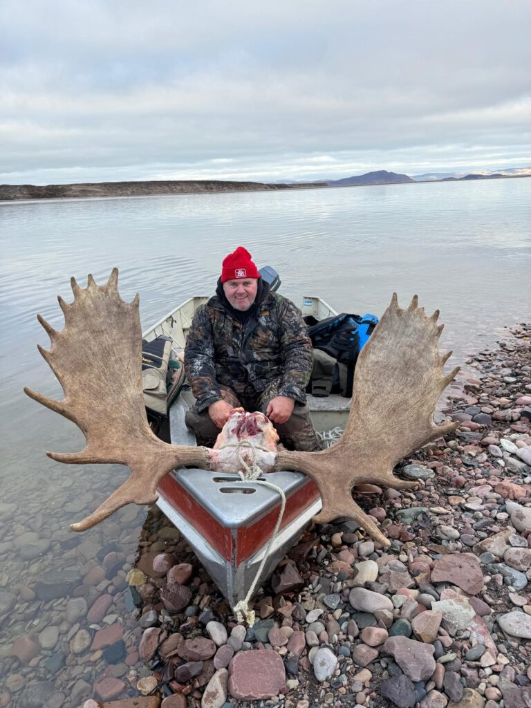 arctic moose and caribou combo 2 arctic moose and caribou combo 2