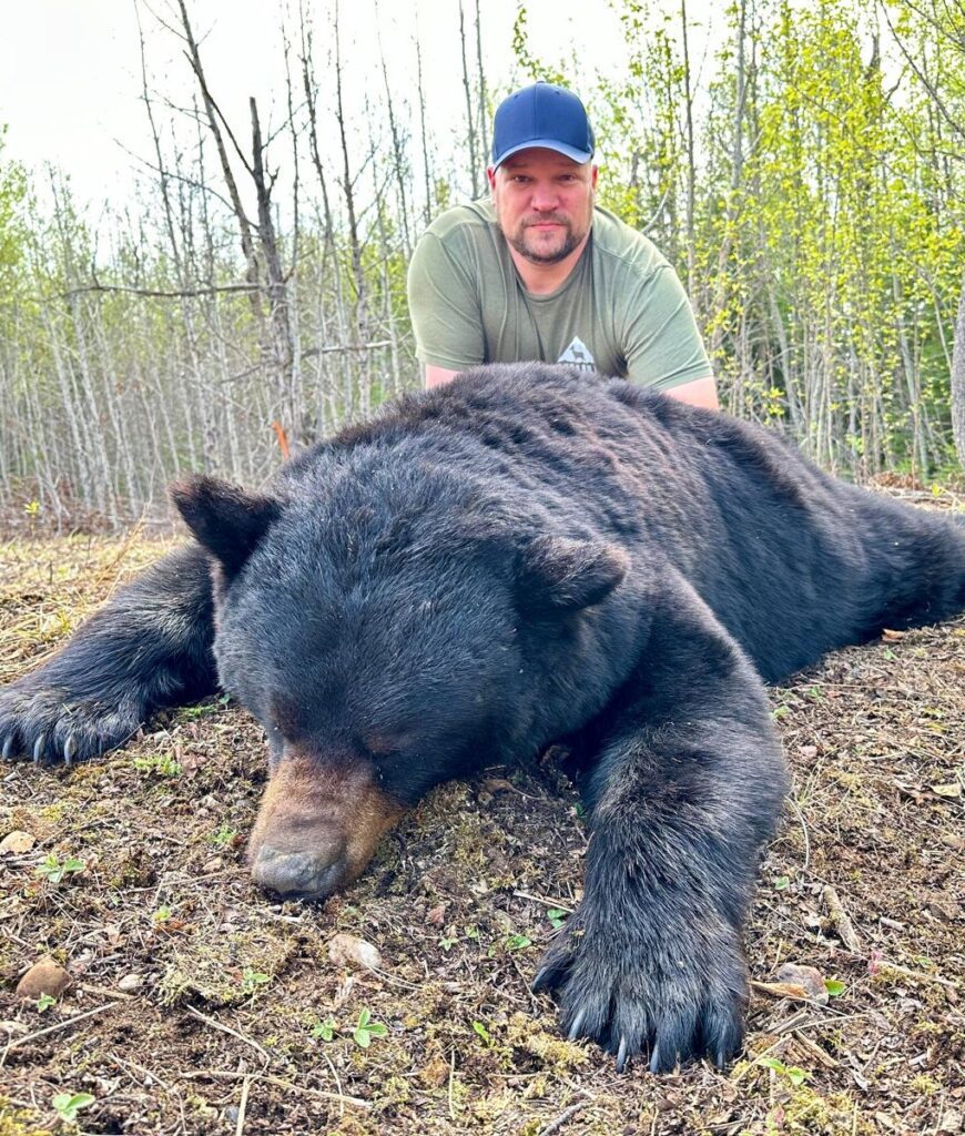 black bear 1 black bear 1