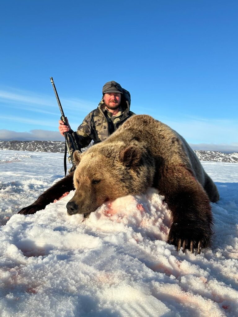 grizzly bear rates pg grizzly bear rates pg