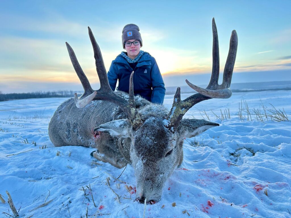 whitetail deer 2 whitetail deer 2