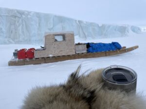 Polar Bear Hunts in the Arctic with Adventure Northwest