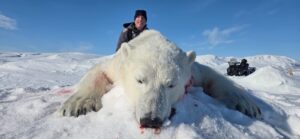 Polar Bear Hunts in the Arctic with Adventure Northwest
