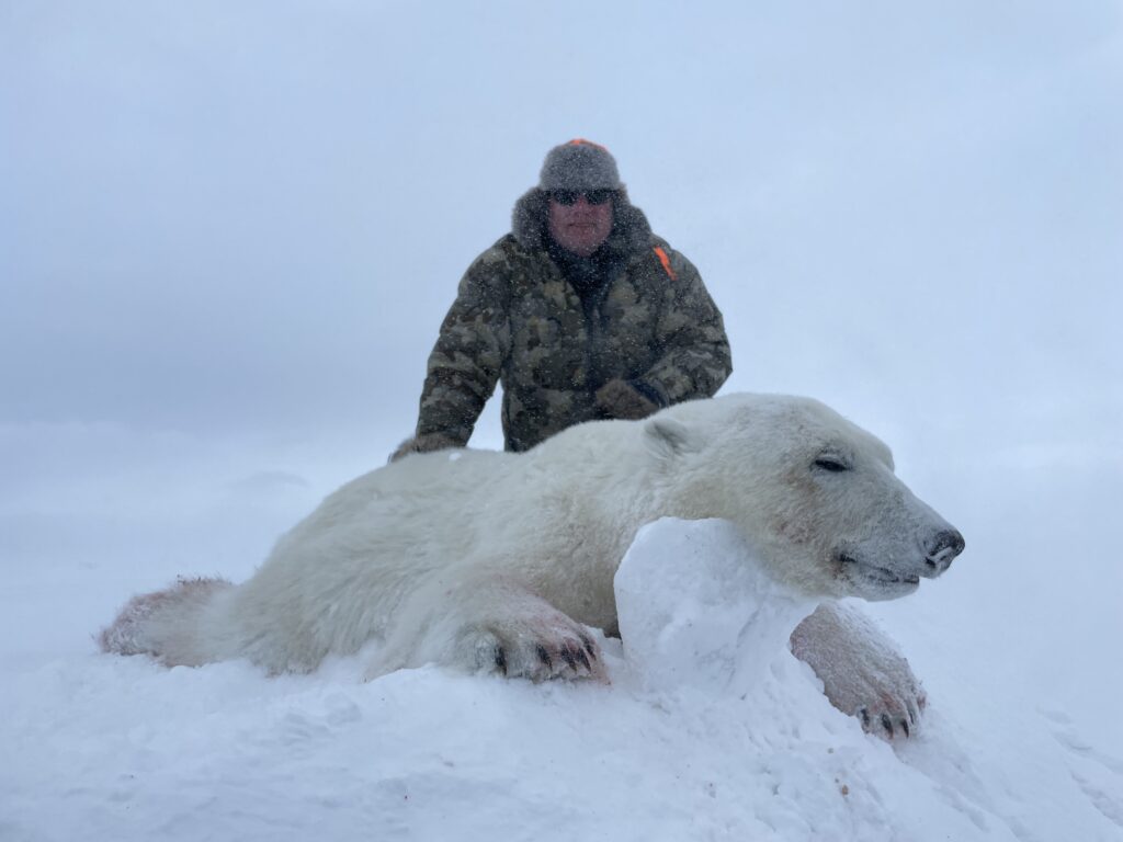Polar Bear Hunts in the Arctic with Adventure Northwest
