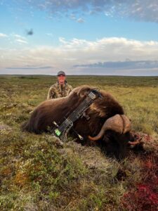 Adventure Northwest Fall Muskox Hunt