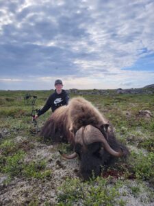 Adventure Northwest Fall Muskox Hunt