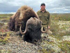 Adventure Northwest Fall Muskox Hunt