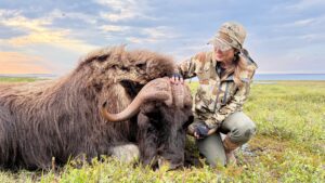Adventure Northwest Fall Muskox Hunt