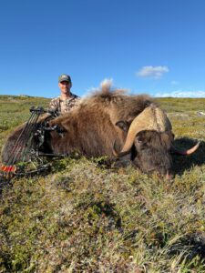 Adventure Northwest Fall Muskox Hunt
