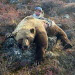 BEAUTIFUL tundra Grizzly in the Arctic with Adventure Northwest