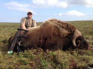 Adventure Northwest Fall Muskox Hunt