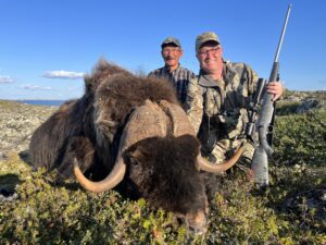 Adventure Northwest Fall Muskox Hunt