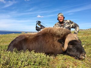 Adventure Northwest Fall Muskox Hunt