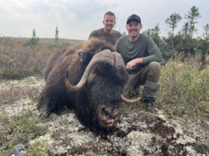 Adventure Northwest Fall Muskox Hunt