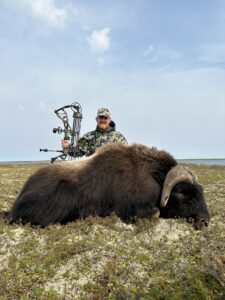 Adventure Northwest Fall Muskox Hunt