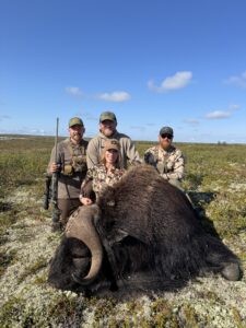 Adventure Northwest Fall Muskox Hunt