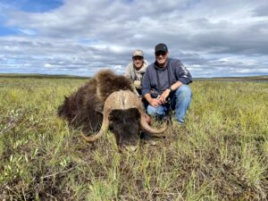 Adventure Northwest Fall Muskox Hunt