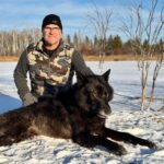 Wolf Hunt with Adventure Northwest