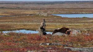Adventure Northwest Fall Muskox Hunt