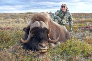 Adventure Northwest Fall Muskox Hunt