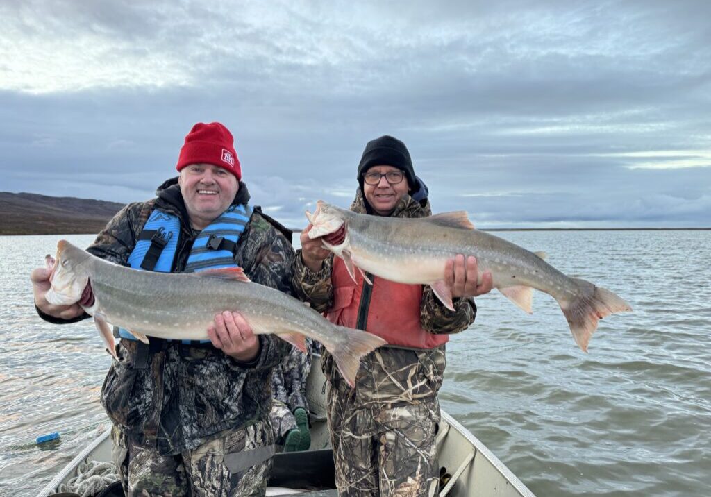 Arctic Moose Hunts with Adventure Northwest