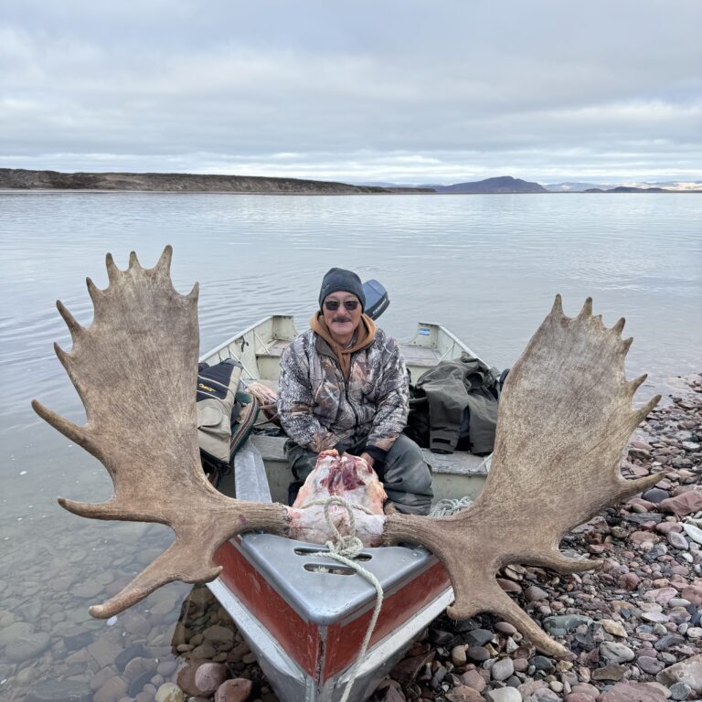 Arctic Moose Hunts with Adventure Northwest