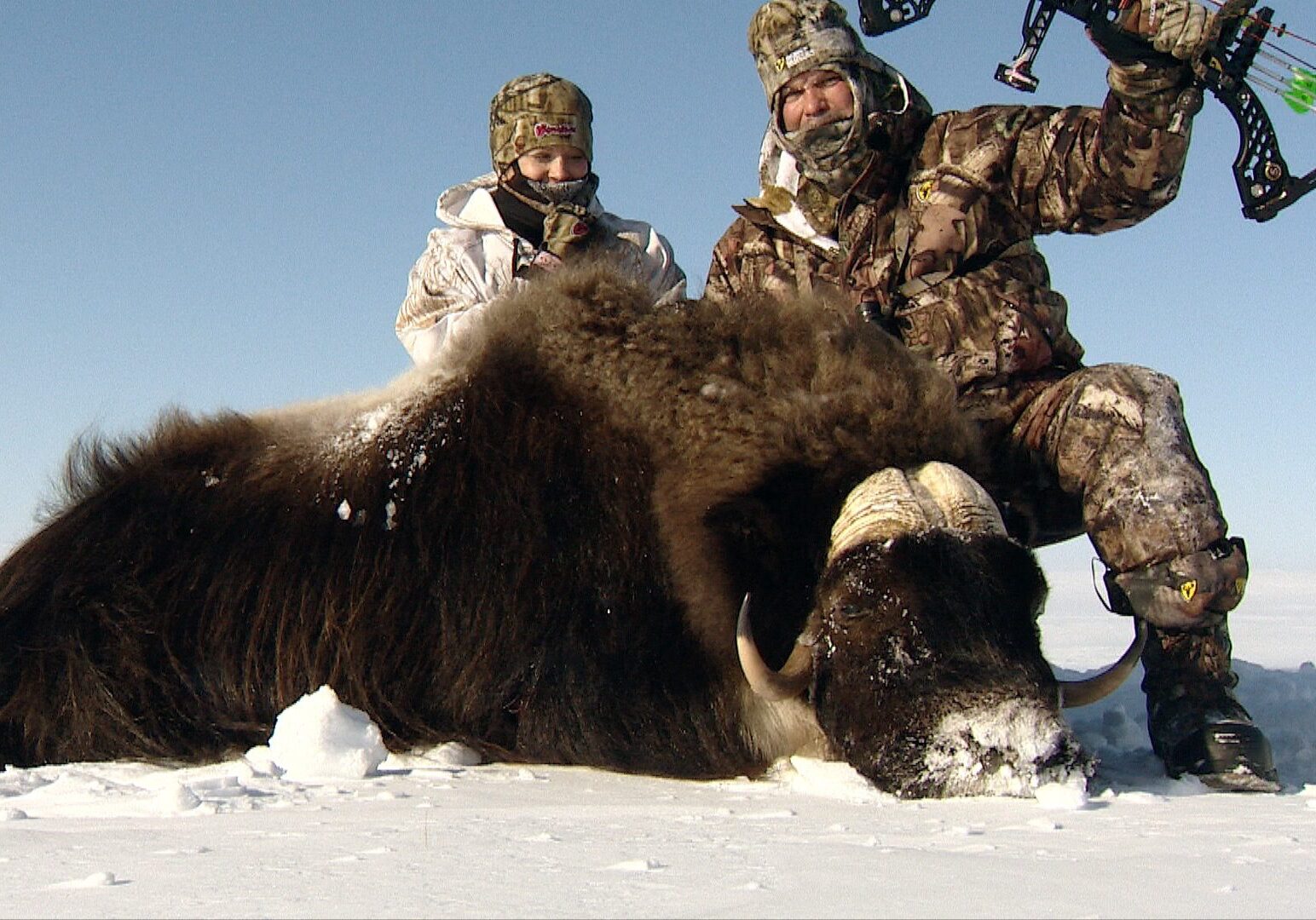 Arctic Island Muskox hunt with Adventure Northwest