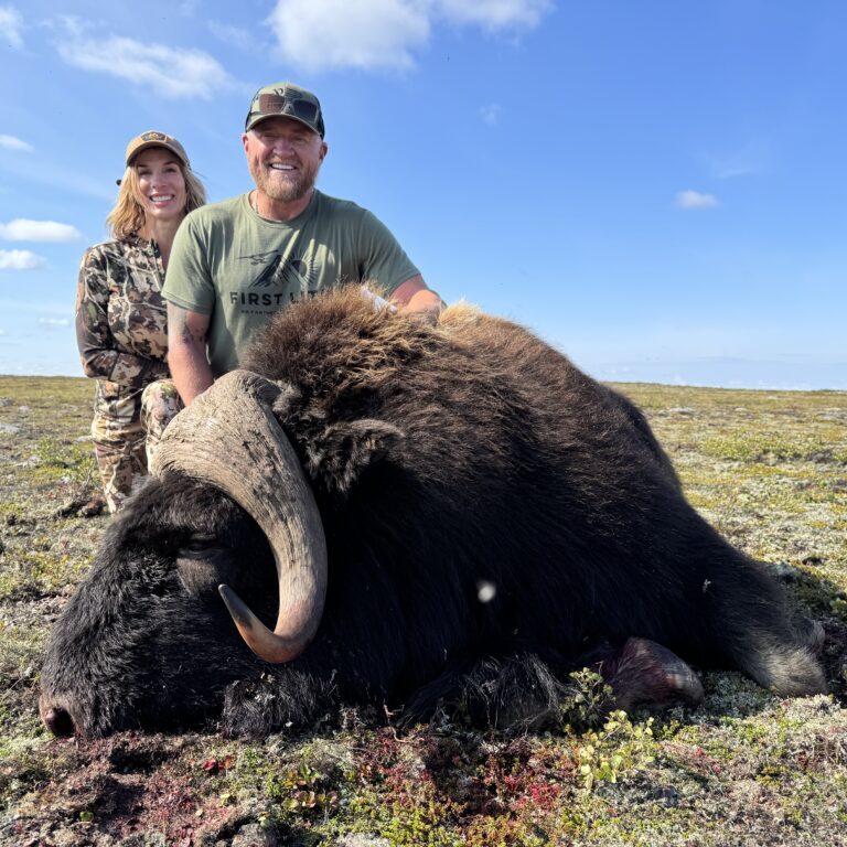 Adventure Northwest Fall Muskox Hunt
